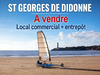 Ma-Cabane - Vente Local commercial SAINT-GEORGES-DE-DIDONNE, 370 m²