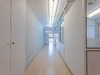Ma-Cabane - Vente Local commercial Saint-Laurent-du-Var, 150 m²