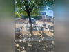 Ma-Cabane - Vente Local commercial Saint-Pol-de-Leon, 165 m²