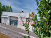 Ma-Cabane - Vente Local commercial Salies-de-Béarn, 630 m²