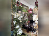 Ma-Cabane - Vente Local commercial Salon-de-Provence, 120 m²