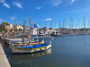 Ma-Cabane - Vente Local commercial Sanary-sur-Mer, 120 m²