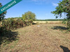 Ma-Cabane - Vente Local commercial Santeau, 225 m²