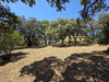 Ma-Cabane - Vente Local commercial Sarrola-Carcopino, 190 m²