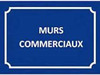 Ma-Cabane - Vente Local commercial SCIEZ, 244 m²