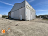 Ma-Cabane - Vente Local commercial Soppe-le-Bas, 300 m²