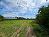 Ma-Cabane - Vente Local commercial SOULTZ-HAUT-RHIN, 879 m²