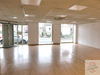 Ma-Cabane - Vente Local commercial STIRING WENDEL, 490 m²