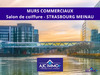 Ma-Cabane - Vente Local commercial Strasbourg, 110 m²