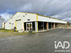 Ma-Cabane - Vente Local commercial Vernantes, 600 m²