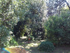 Ma-Cabane - Vente Maison ABEILHAN, 183 m²