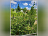 Ma-Cabane - Vente Maison ABREST, 120 m²
