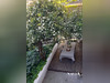 Ma-Cabane - Vente Maison AGDE, 300 m²
