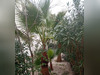 Ma-Cabane - Vente Maison AGDE, 145 m²