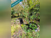 Ma-Cabane - Vente Maison Agen, 213 m²