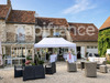 Ma-Cabane - Vente Maison AIGLEVILLE, 443 m²