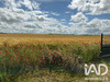 Ma-Cabane - Vente Maison Ailly-sur-Somme, 176 m²