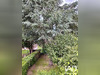 Ma-Cabane - Vente Maison Ailly-sur-Somme, 98 m²