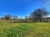 Ma-Cabane - Vente Maison Albi, 185 m²