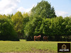 Ma-Cabane - Vente Maison ALENCON, 350 m²