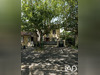 Ma-Cabane - Vente Maison Alfortville, 120 m²