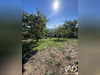 Ma-Cabane - Vente Maison Allassac, 116 m²