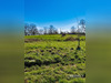 Ma-Cabane - Vente Maison Alles-sur-Dordogne, 120 m²