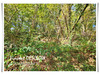 Ma-Cabane - Vente Maison ALLIGNY EN MORVAN, 135 m²