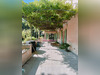Ma-Cabane - Vente Maison Althen-des-Paluds, 380 m²