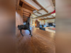 Ma-Cabane - Vente Maison Ambon, 410 m²