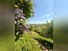 Ma-Cabane - Vente Maison Ampuis, 176 m²