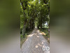 Ma-Cabane - Vente Maison Anais, 590 m²