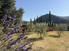 Ma-Cabane - Vente Maison ANDUZE, 305 m²