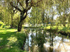 Ma-Cabane - Vente Maison Ange, 281 m²
