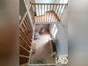 Ma-Cabane - Vente Maison Ansauvillers, 125 m²
