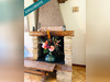 Ma-Cabane - Vente Maison Arbot, 178 m²