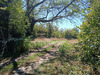 Ma-Cabane - Vente Maison ARCES DILO, 100 m²