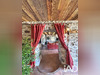 Ma-Cabane - Vente Maison Arenthon, 165 m²