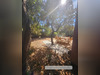 Ma-Cabane - Vente Maison Argelliers, 101 m²