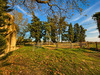 Ma-Cabane - Vente Maison ARLES, 500 m²
