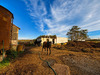 Ma-Cabane - Vente Maison ARLES, 500 m²