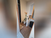 Ma-Cabane - Vente Maison ARTIGAT, 110 m²