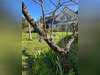 Ma-Cabane - Vente Maison ARZON, 124 m²