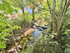 Ma-Cabane - Vente Maison AUBIERE, 67 m²