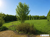 Ma-Cabane - Vente Maison Audincthun, 220 m²