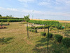 Ma-Cabane - Vente Maison AUNOU SUR ORNE, 70 m²