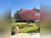 Ma-Cabane - Vente Maison Aureilhan, 150 m²