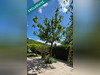 Ma-Cabane - Vente Maison Avanne-Aveney, 120 m²