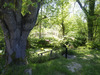 Ma-Cabane - Vente Maison AVERON BERGELLE, 157 m²