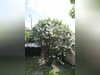 Ma-Cabane - Vente Maison AVIGNON, 114 m²